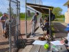 1_Opening-Day-Red-Green-2025-Summer-SloPitch-27